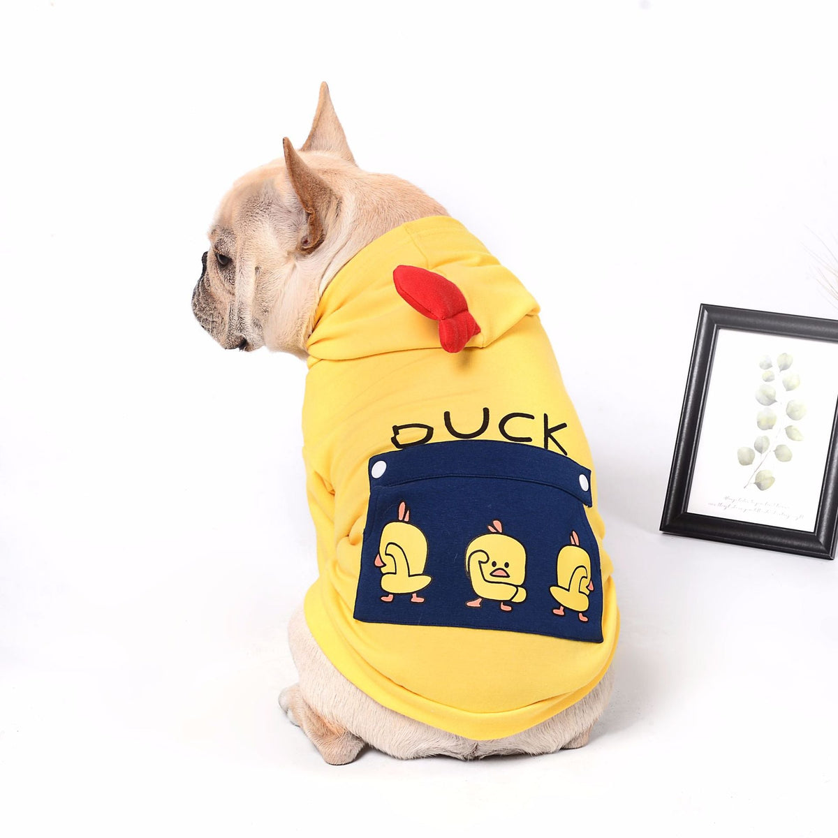 Pet dog clothes  -  - Pets Crazy Shops -