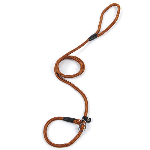 Dog leash dog leash pet leash  -  - Pets Crazy Shops -
