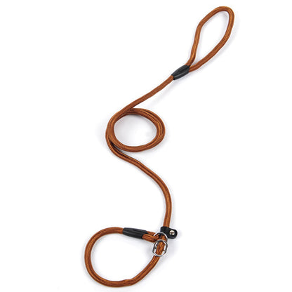 Dog leash dog leash pet leash  -  - Pets Crazy Shops -