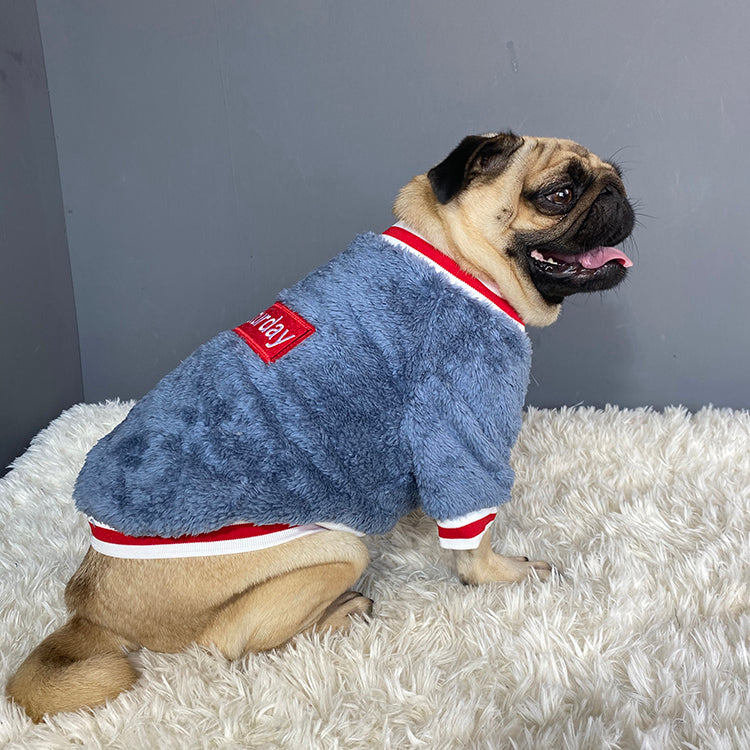 Pet sweater  -  - Pets Crazy Shops -
