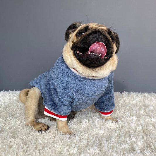 Pet sweater  -  - Pets Crazy Shops -