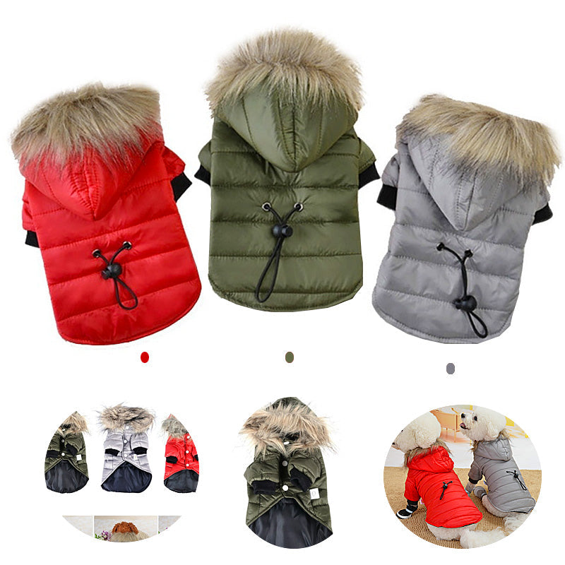 Pet Clothing Autumn And Winter Pet Sweater Teddy  -  - Pets Crazy Shops -
