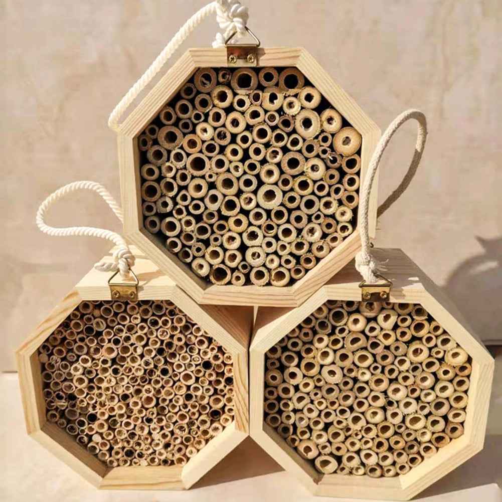 Wooden Bee Breeding Box Combination  -  - Pets Crazy Shops -