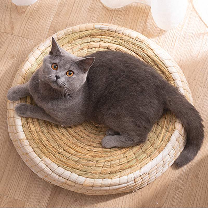 Teng Wok Felt House Cat Bed  -  - Pets Crazy Shops -