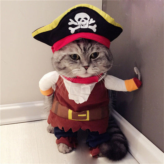 Teddy Pirate Transformed Into Pet Costume  -  - Pets Crazy Shops -
