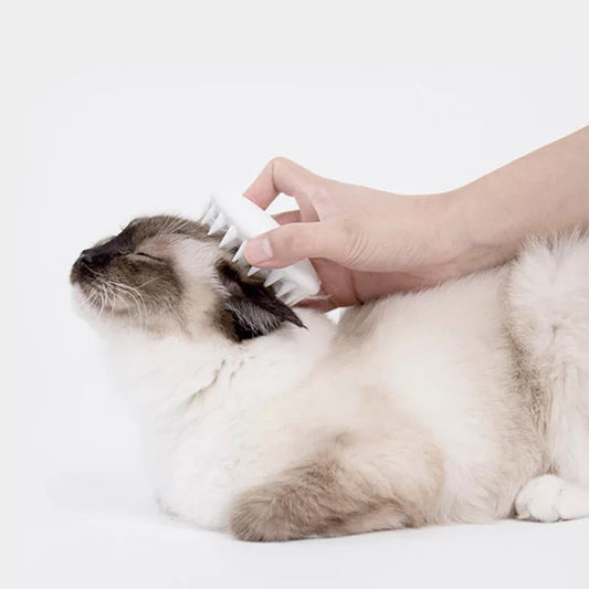 Cat Gloves Cat Grooming  -  - Pets Crazy Shops -