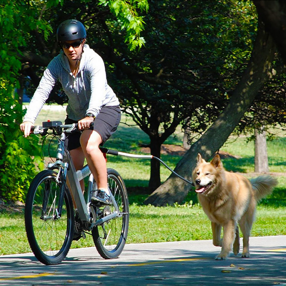 Stainless Steel Bike Leash for Pet Dogs  -  - Pets Crazy Shops -