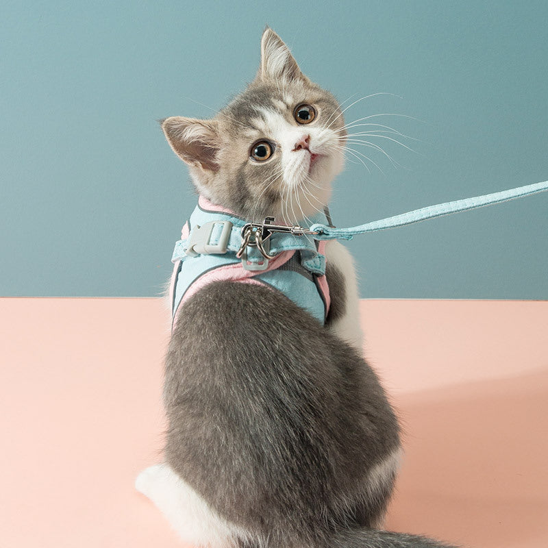 Cat Traction Rope Chest Strap To Prevent Breaking Free Pets Cat Strap  -  - Pets Crazy Shops -