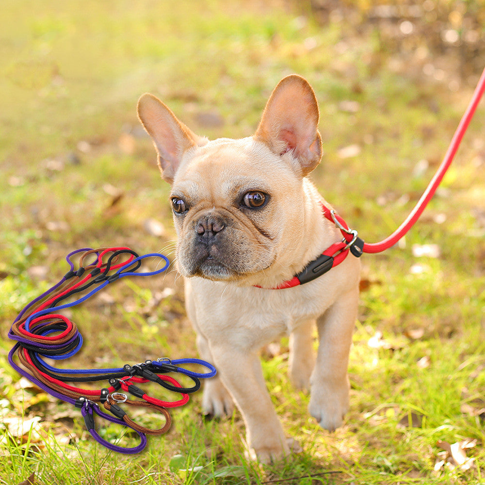 Dog leash dog leash pet leash  -  - Pets Crazy Shops -
