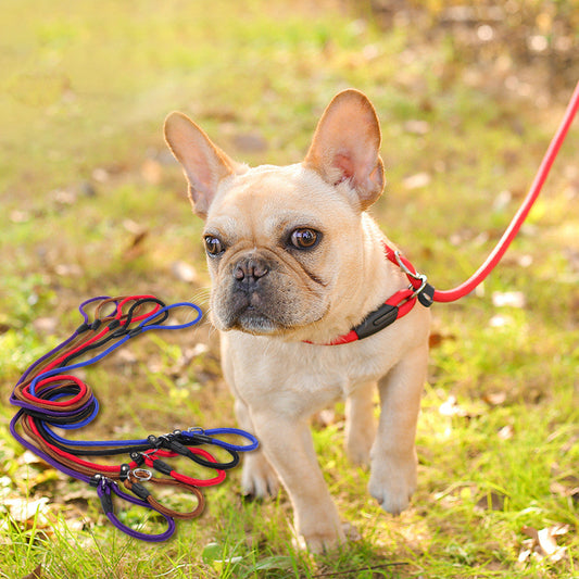 Dog leash dog leash pet leash  -  - Pets Crazy Shops -