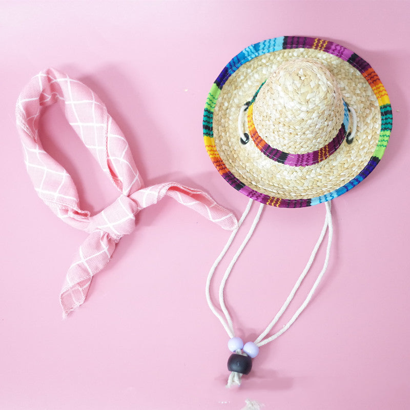 Pet Accessories Summer Outing Set  -  - Pets Crazy Shops -
