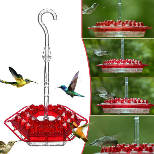 New Flower Hexagonal Bird Feeder Sensation Coneflower Bird Feeder  -  - Pets Crazy Shops -