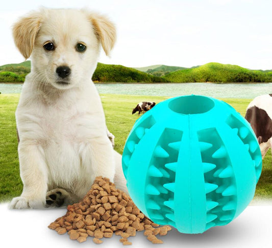 Pet Slow Feeder Dog Toy Cute Funny Rubber Dog Ball Toy  -  - Pets Crazy Shops -