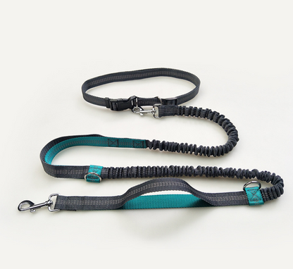 Amazon direct pet supplies multi-function running reflective pull dog leash double elastic dog leash traction  -  - Pets Crazy Shops -