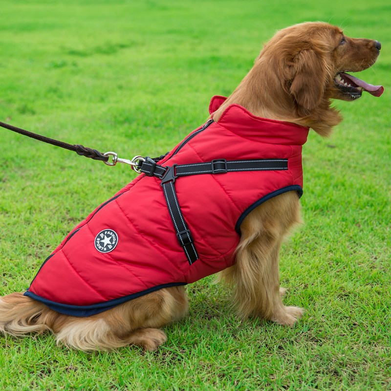 Dog Cotton Vest | Chest & Back Integrated Winter Clothes | XS to 4XL | 2 Colours  -  - Pets Crazy Shops -