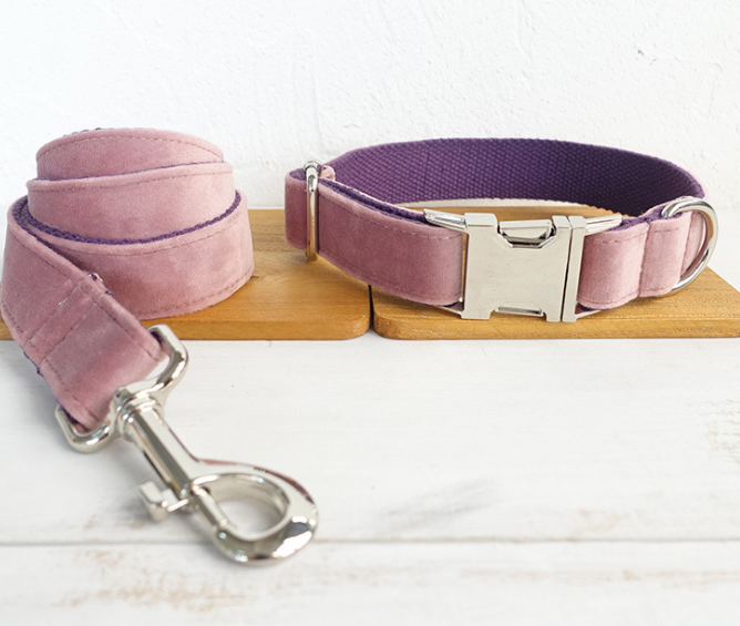 Dog leash pet collar  -  - Pets Crazy Shops -