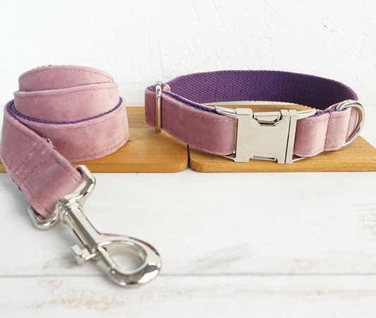 Dog leash pet collar  -  - Pets Crazy Shops -