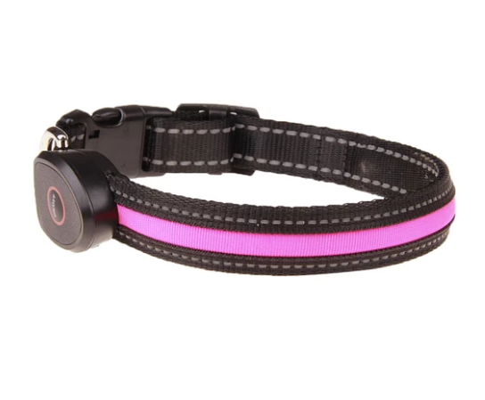 Dog luminous collar  -  - Pets Crazy Shops -