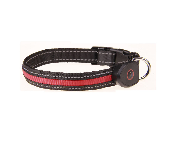 Dog luminous collar  -  - Pets Crazy Shops -