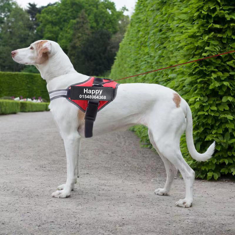 Personalized Custom Reflective Breathable Dog Harness NO PULL Adjustable Pet Harness For Small Large Dog Harness Vest With Patch  -  - Pets Crazy Shops -