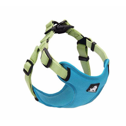 Dog leash collar walking dog leash  -  - Pets Crazy Shops -