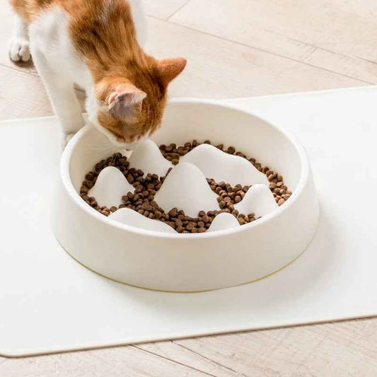 Pet Slow Food Bowl  -  - Pets Crazy Shops -