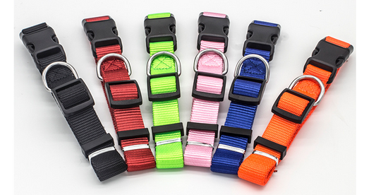 New Pet Collar  -  - Pets Crazy Shops -