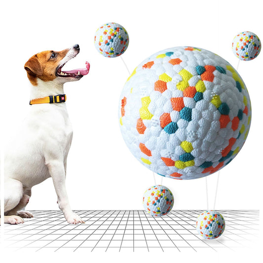 Dog Molars Pet Toy Ball Interactive Training Pet Play Ball Chew Molar Tooth Cleaning Toys Bite Resistant Dog Toys  -  - Pets Crazy Shops -