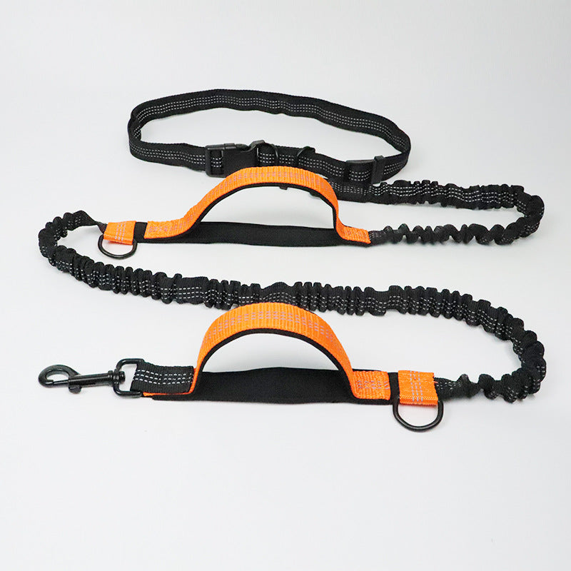 Amazon direct pet supplies multi-function running reflective pull dog leash double elastic dog leash traction  -  - Pets Crazy Shops -