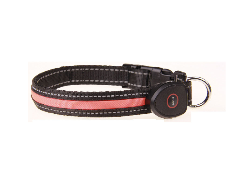 Dog luminous collar  -  - Pets Crazy Shops -