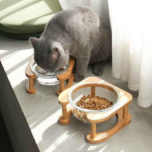 Glass cat bowl cat food bowl cat food bowl  -  - Pets Crazy Shops -