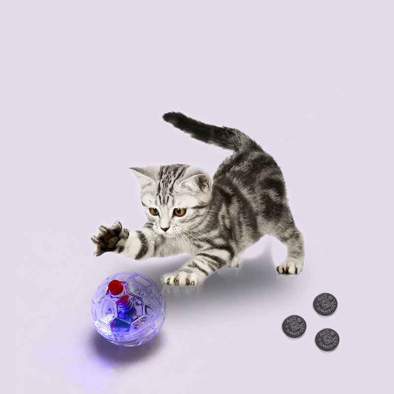 Cat Dog Toy Ball New Fashion Glowing Transparent Plastic Ball Pet Interactive Toy Funny Training Cat GlowBalls Toys Pet Products  -  - Pets Crazy Shops -