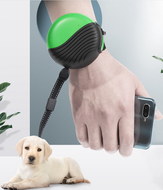 Wrist-type pet watch leash  -  - Pets Crazy Shops -