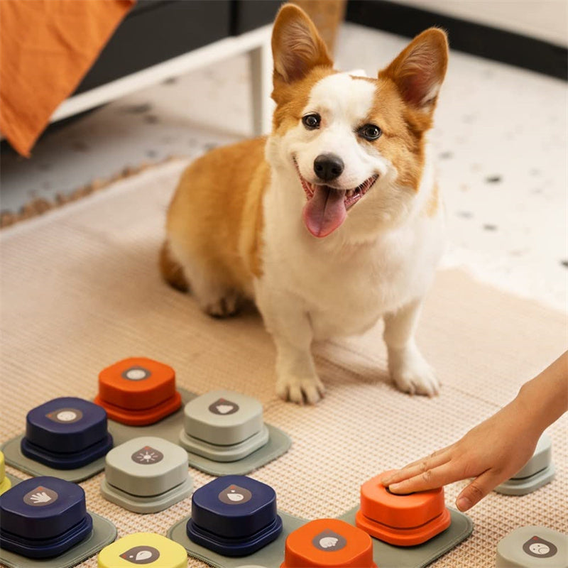 4 Colors Pet Communication Button One-click Prevent Physical Inactivity Recordable Dog Talking Button Toy Cat Toy Pet Products  -  - Pets Crazy Shops -