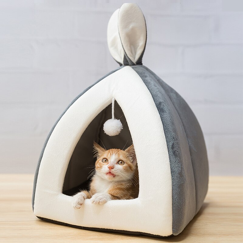 Pet Waterloo  -  - Pets Crazy Shops -