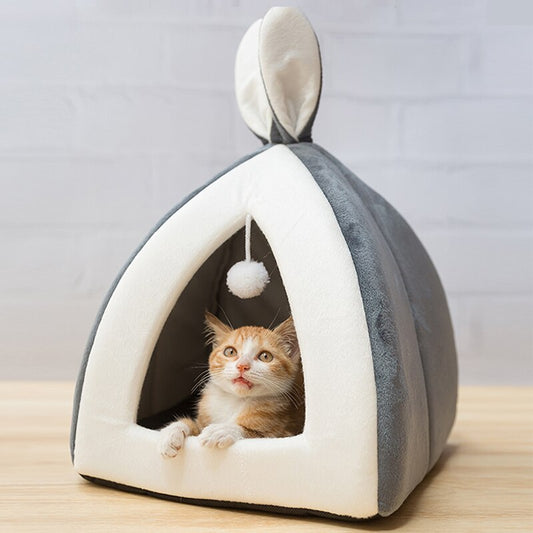 Pet Waterloo  -  - Pets Crazy Shops -