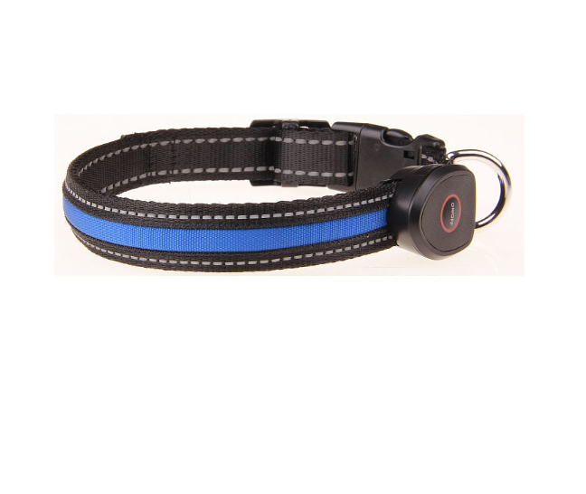 Dog luminous collar  -  - Pets Crazy Shops -