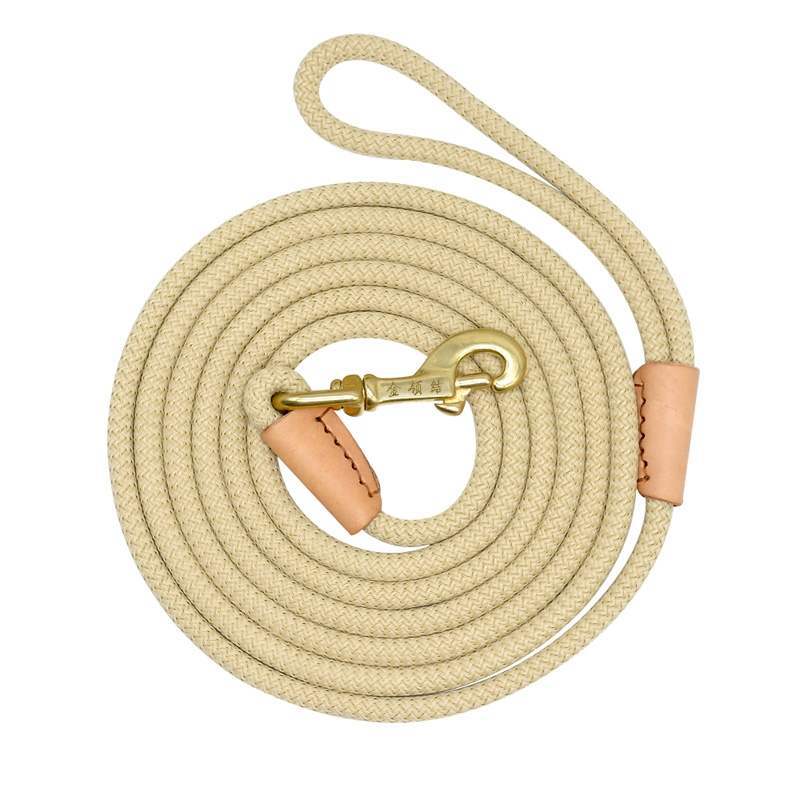 Dog training belt  -  - Pets Crazy Shops -