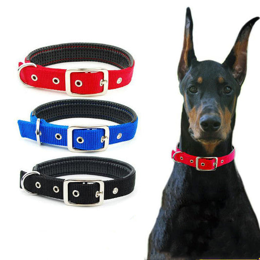 Medium and large dog collars  -  - Pets Crazy Shops -
