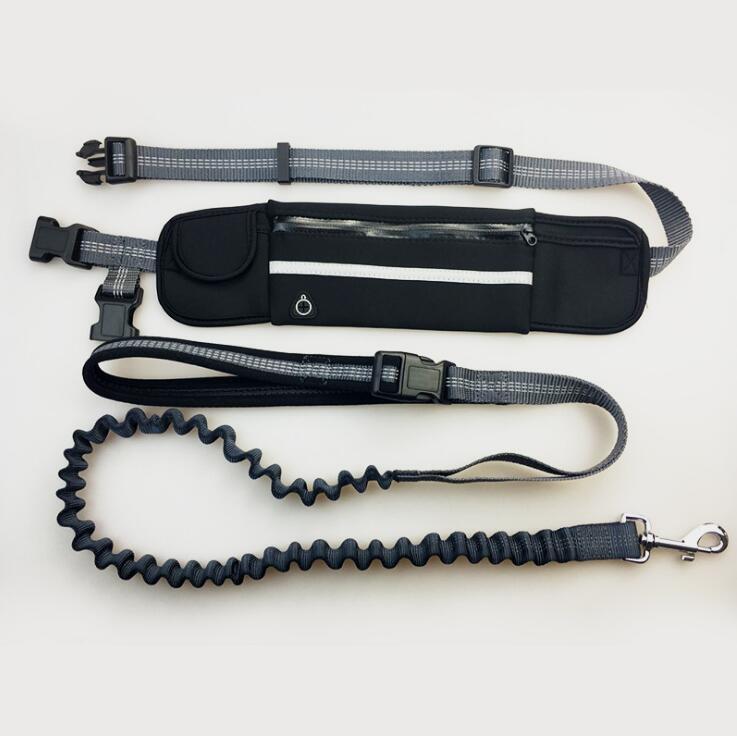 Hands-Free Dog Running Leash with Waist Pocket Adjustable Belt Shock Absorbing Bungee  -  - Pets Crazy Shops -