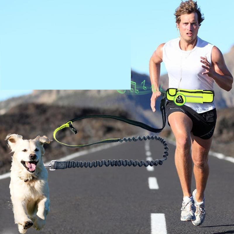 Hands-Free Dog Running Leash with Waist Pocket Adjustable Belt Shock Absorbing Bungee  -  - Pets Crazy Shops -