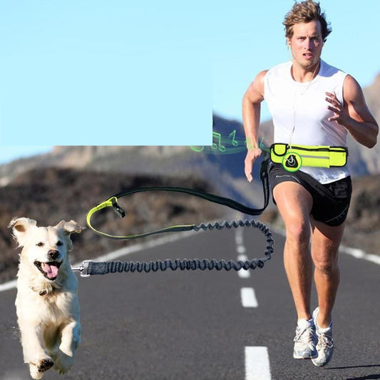 Hands-Free Dog Running Leash with Waist Pocket Adjustable Belt Shock Absorbing Bungee  -  - Pets Crazy Shops -
