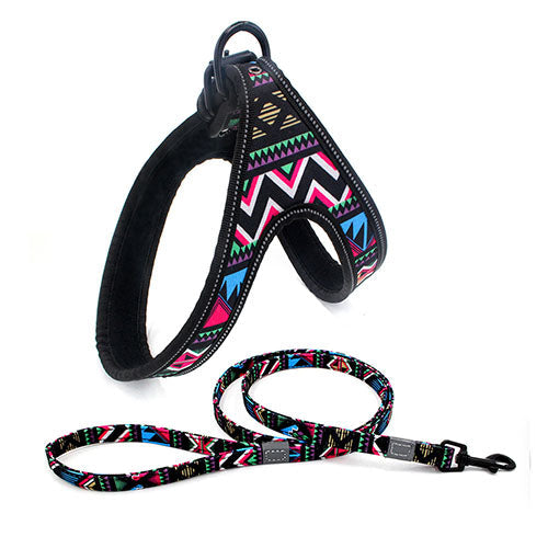 Colorful Dog Leash Dog Walking Rope Small And Medium-sized Dog Explosion-proof Dog Chain  -  - Pets Crazy Shops -