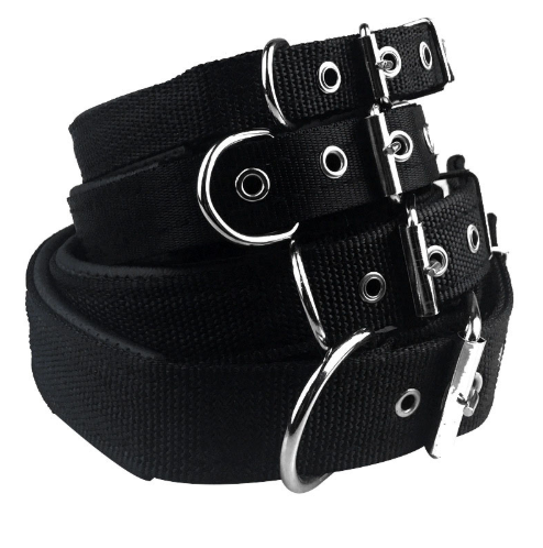 Nylon foam leather pet collar collar 3 color dog collar sponge pet supplies traction  -  - Pets Crazy Shops -