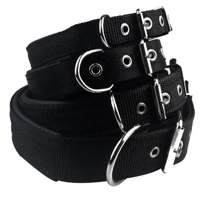 Nylon foam leather pet collar collar 3 color dog collar sponge pet supplies traction  -  - Pets Crazy Shops -