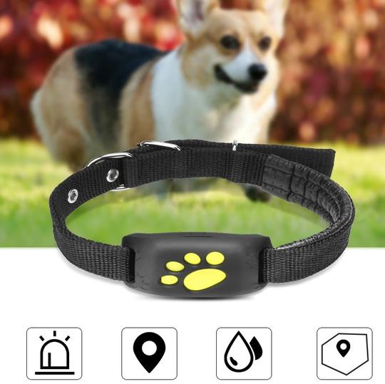 GPS Pet Tracker  -  - Pets Crazy Shops -