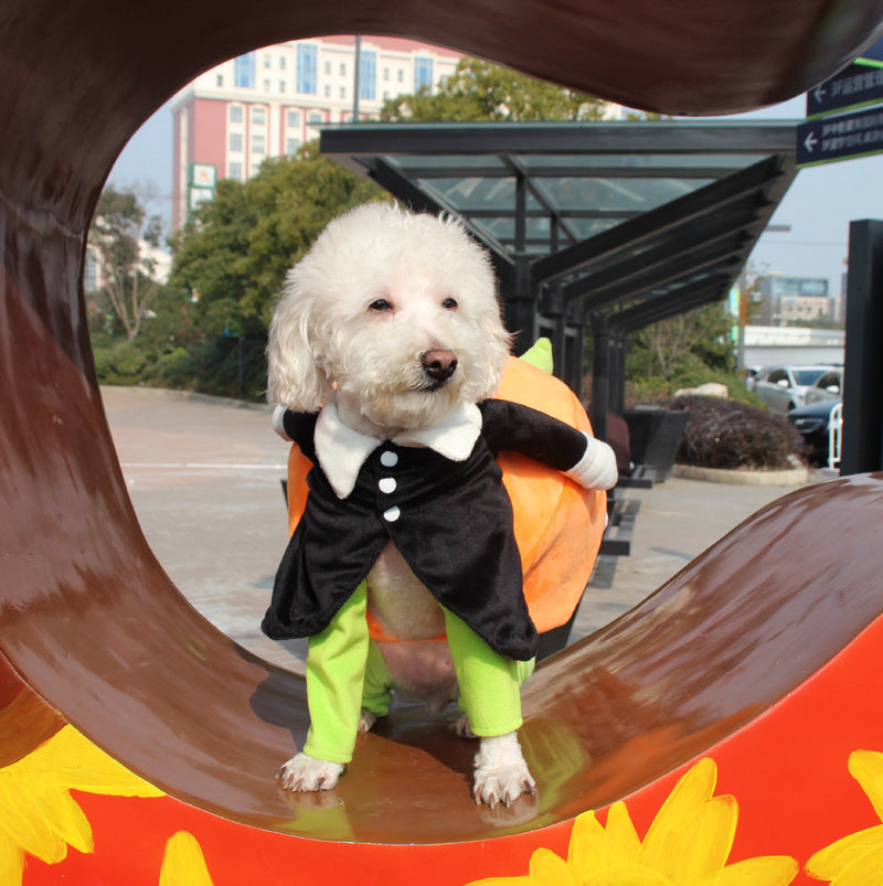 clothes for pets  -  - Pets Crazy Shops -