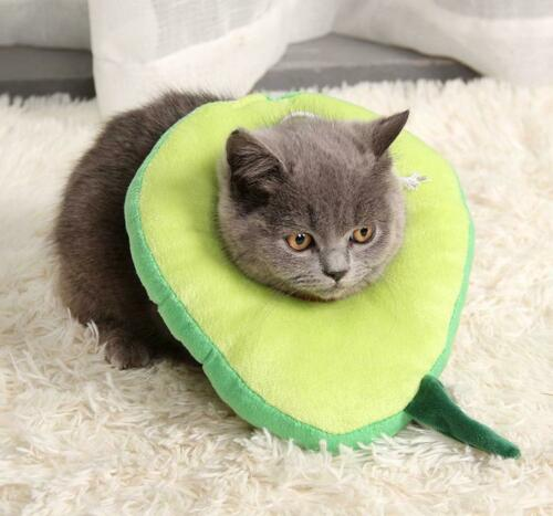 Adjustable Pet Neck Cone Recovery Pet Cat Recovery Collar Cat Soft Lemon Neck Cone Adjustable Pet E Collar After Surgery, Wound Healing Protective Cat Elizabethan Collar For Kitten & Puppy  -  - Pets Crazy Shops -