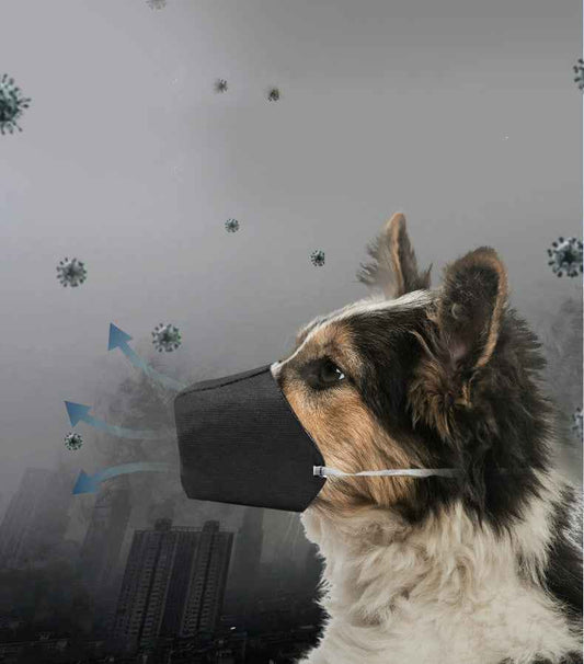 Go out pet mouth cover  -  - Pets Crazy Shops -
