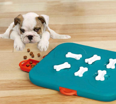 Pet toys casino treasure hunt puzzle food spill toy  -  - Pets Crazy Shops -